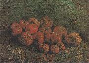 Vincent Van Gogh Still Life with Apples
